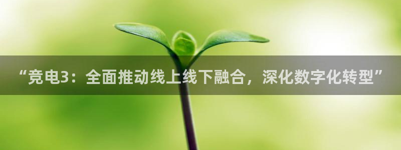 火狐电竞APP：“竞电3：全面推动线上线下融合，深化数字化转型”