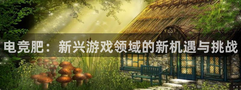 火狐电竞APP下载：电竞肥：新兴游戏领域的新机遇与挑战
