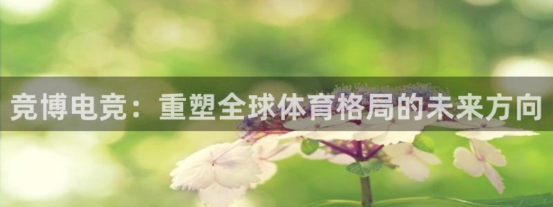 火狐电竞网页版入口：竞博电竞：重塑全球体育格局的未来方向
