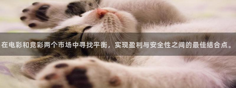 火狐电竞app官网：在电彩和竞彩两个市场中寻找平衡，实现盈利与安全性之间的最佳结合点。