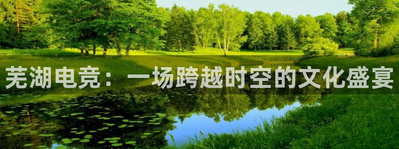 火狐电竞最新官网入口：芜湖电竞：一场跨越时空的文化盛宴