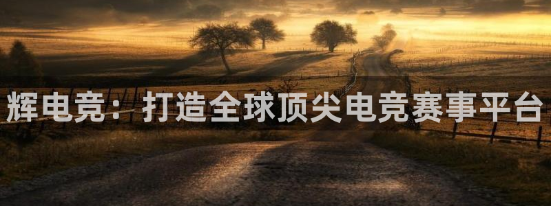 火狐电竞怎么样：辉电竞：打造全球顶尖电竞赛事平台