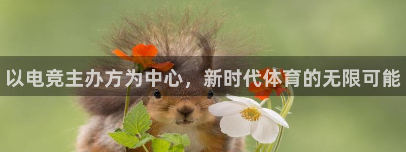 火狐电竞网页版：以电竞主办方为中心，新时代体育的无限可能