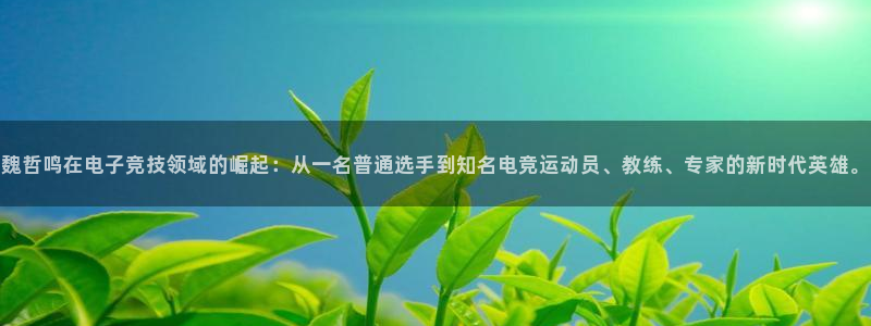 火狐电竞：魏哲鸣在电子竞技领域的崛起：从一名普通选手到知名电竞运动员、教练、专家的新时代英雄。