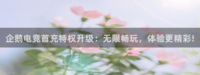 火狐电竞网页：企鹅电竞首充特权升级：无限畅玩，体验更精彩!