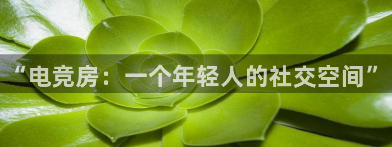 火狐电竞登录app：“电竞房：一个年轻人的社交空间”