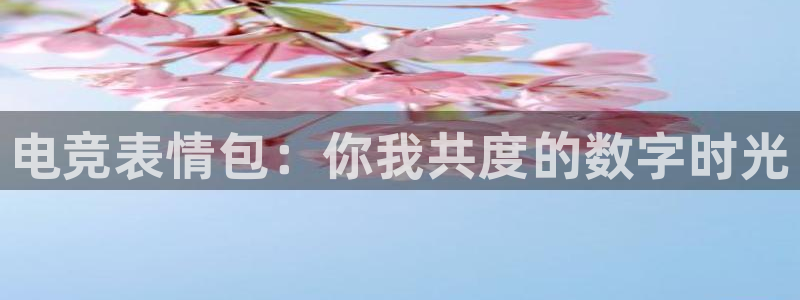 火狐电竞APP首页：电竞表情包：你我共度的数字时光