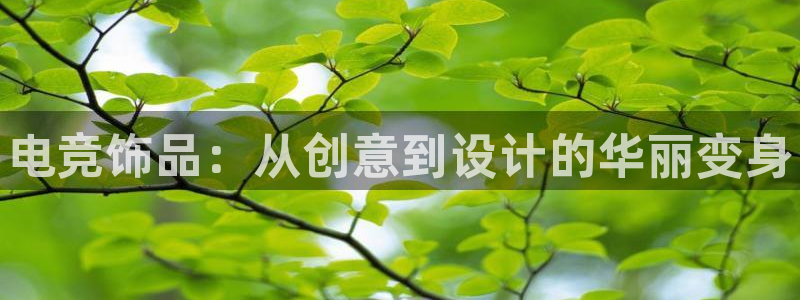 火狐电竞酒店：电竞饰品：从创意到设计的华丽变身