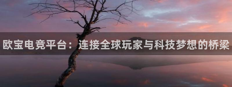 火狐电竞huohu：欧宝电竞平台：连接全球玩家与科技梦想的桥梁