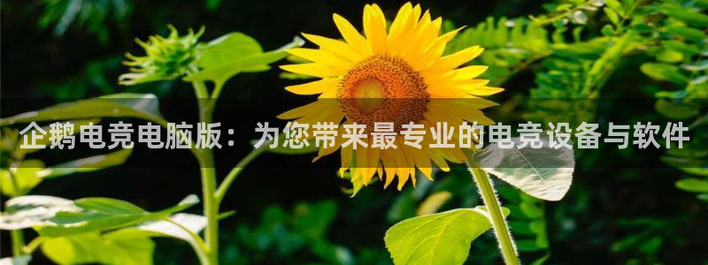 火狐电竞酒店：企鹅电竞电脑版：为您带来最专业的电竞设备与软件
