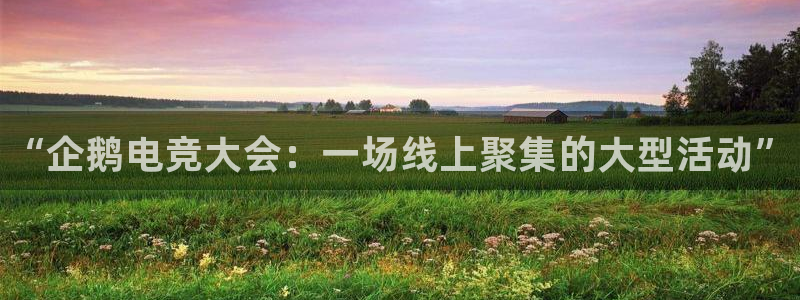 火狐电竞体育平台：“企鹅电竞大会：一场线上聚集的大型活动”