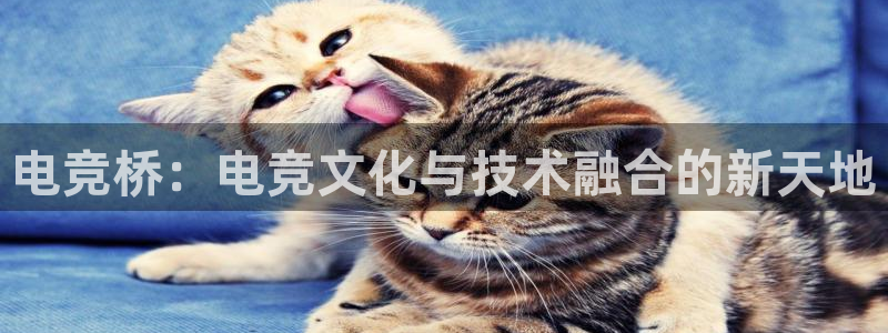 火狐电竞app-官网下载：电竞桥：电竞文化与技术融合的新天地