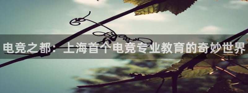 火狐电竞官网：电竞之都：上海首个电竞专业教育的奇妙世界