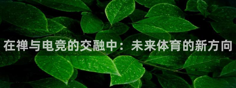 火狐电竞体育平台：在禅与电竞的交融中：未来体育的新方向