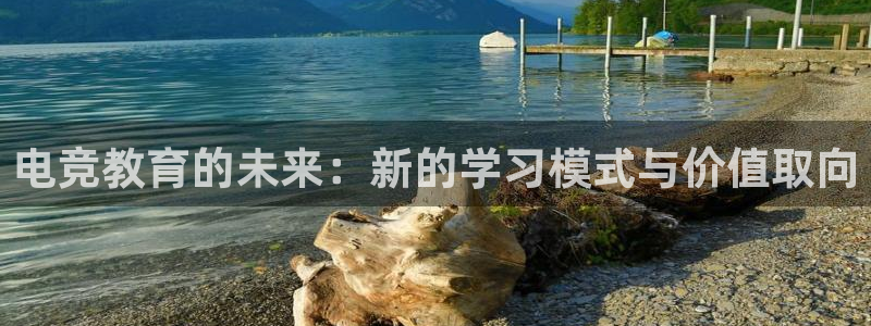火狐电竞在线入口官网：电竞教育的未来：新的学习模式与价值取向
