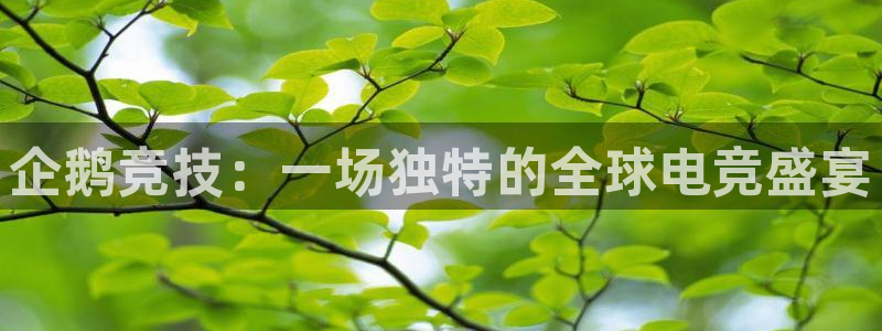 火狐电竞平台官网：企鹅竞技：一场独特的全球电竞盛宴