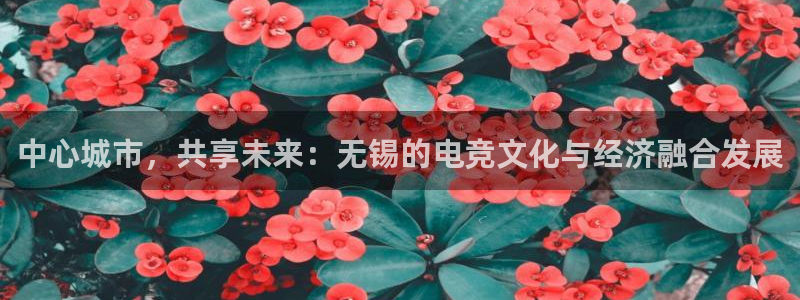 火狐电竞：中心城市，共享未来：无锡的电竞文化与经济融合发展