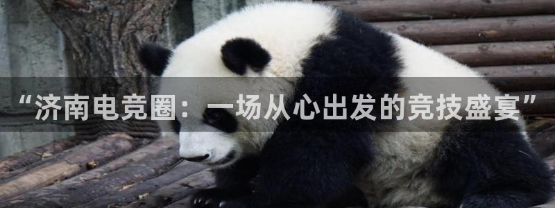 火狐电竞酒店：“济南电竞圈：一场从心出发的竞技盛宴”