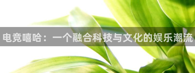 火狐电竞网页版入口：电竞嘻哈：一个融合科技与文化的娱乐潮流