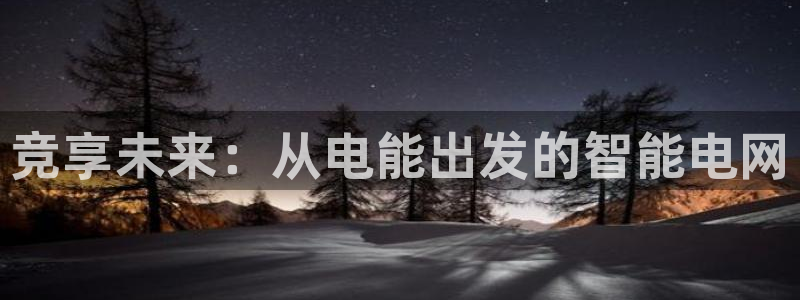 火狐电竞首页在哪：竞享未来：从电能出发的智能电网