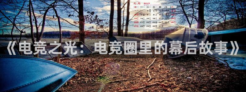 火狐电竞在线入口官网：《电竞之光：电竞圈里的幕后故事》