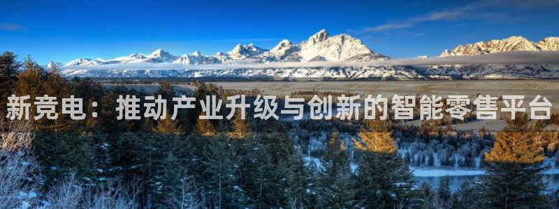 火狐电竞：新竞电：推动产业升级与创新的智能零售平台