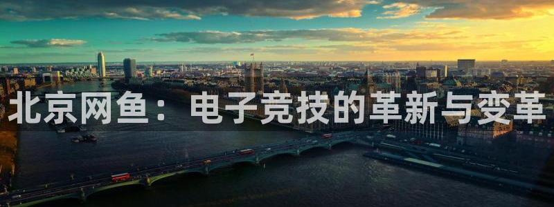 火狐电竞：北京网鱼：电子竞技的革新与变革