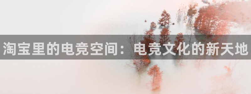 火狐电竞官方网站：淘宝里的电竞空间：电竞文化的新天地