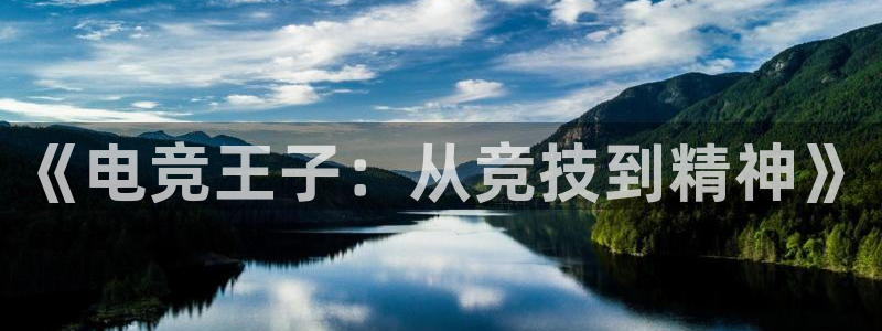 火狐电竞首页：《电竞王子：从竞技到精神》