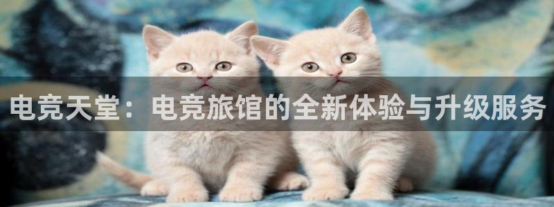 火狐电竞登录app：电竞天堂：电竞旅馆的全新体验与升级服务