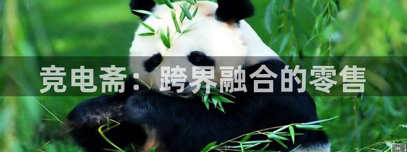 火狐电竞网页版：竞电斋：跨界融合的零售