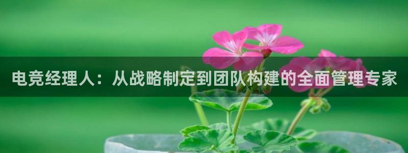 火狐电竞体育官网：电竞经理人：从战略制定到团队构建的全面管理专家