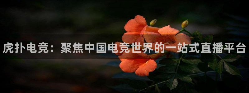 火狐电竞首页：虎扑电竞：聚焦中国电竞世界的一站式直播平台