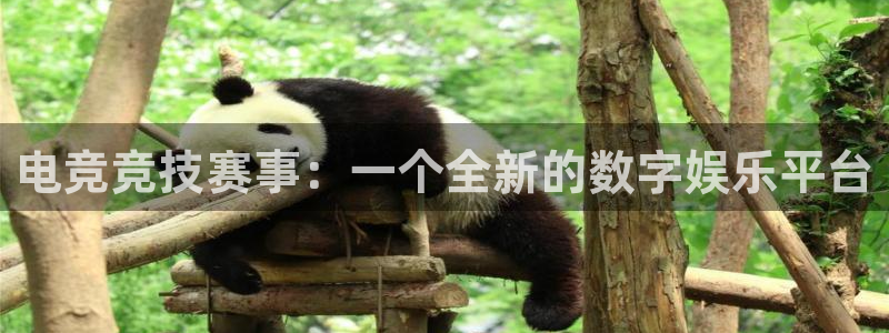 火狐电竞入口：电竞竞技赛事：一个全新的数字娱乐平台
