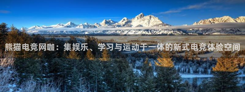 火狐电竞huohu：熊猫电竞网咖：集娱乐、学习与运动于一体的新式电竞体验空间