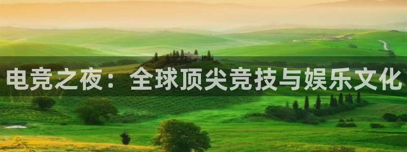 火狐电竞在线入口官网：电竞之夜：全球顶尖竞技与娱乐文化