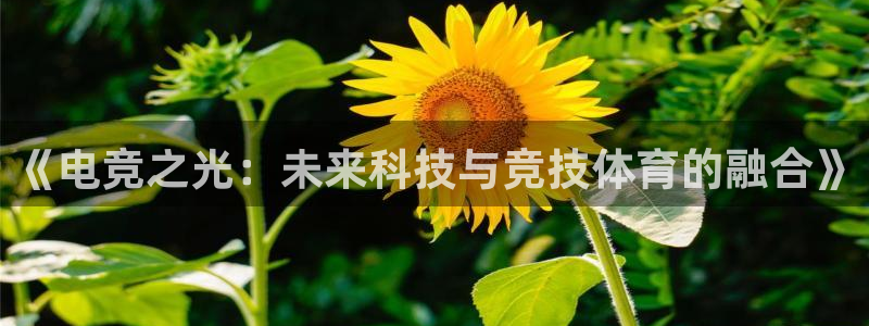 火狐电竞平台官网：《电竞之光：未来科技与竞技体育的融合》