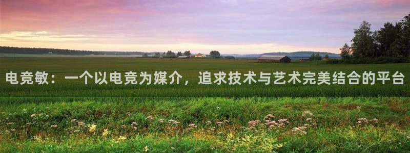 火狐电竞能提现么：电竞敏：一个以电竞为媒介，追求技术与艺术完美结合的平台