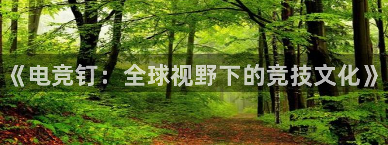火狐电竞体育平台：《电竞钉：全球视野下的竞技文化》