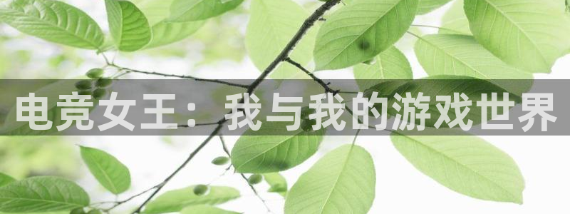 火狐电竞app官网：电竞女王：我与我的游戏世界