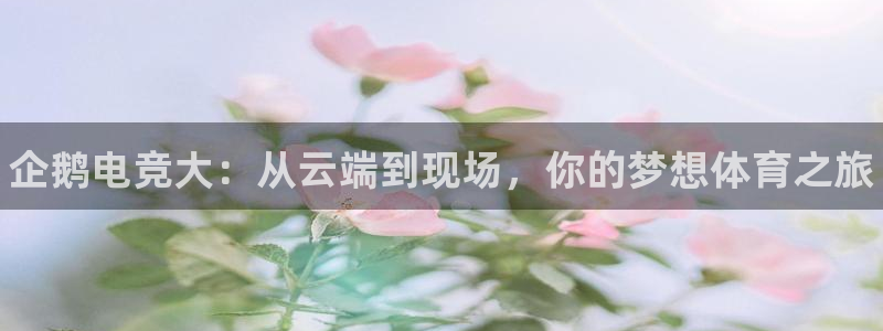 火狐电竞APP下载：企鹅电竞大：从云端到现场，你的梦想体育之旅