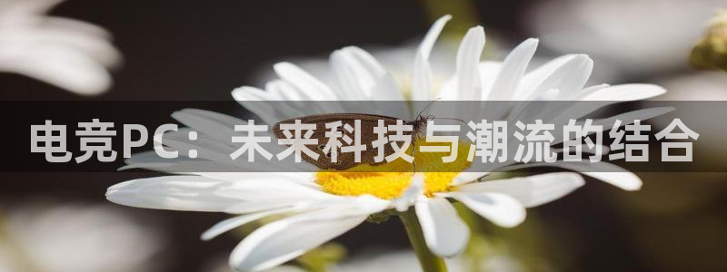 火狐电竞huohu：电竞PC：未来科技与潮流的结合