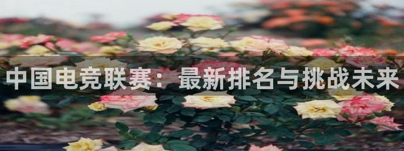 火狐电竞：中国电竞联赛：最新排名与挑战未来