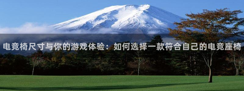 火狐电竞APP下载：电竞椅尺寸与你的游戏体验：如何选择一款符合自己的电竞座椅