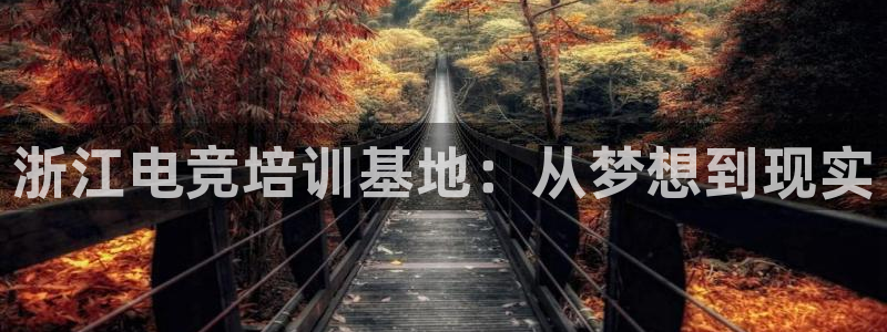 火狐电竞体育平台怎么样：浙江电竞培训基地：从梦想到现实