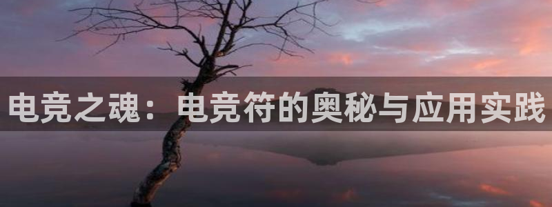 火狐电竞网站：电竞之魂：电竞符的奥秘与应用实践