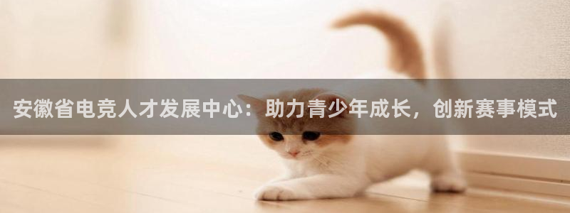 火狐电竞首页在哪：安徽省电竞人才发展中心：助力青少年成长，创新赛事模式