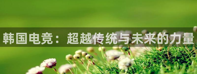 火狐电竞网页：韩国电竞：超越传统与未来的力量