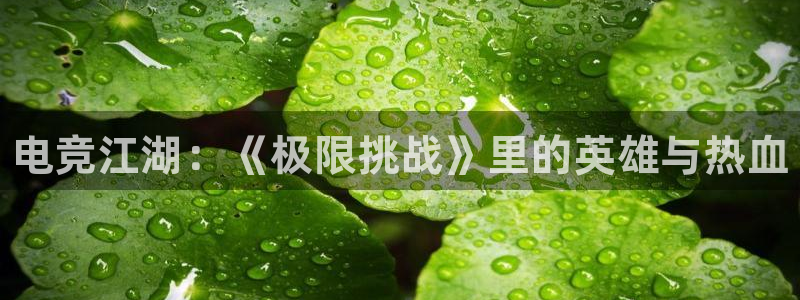 火狐电竞APP首页：电竞江湖：《极限挑战》里的英雄与热血