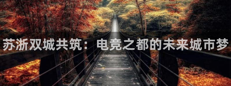 火狐电竞APP：苏浙双城共筑：电竞之都的未来城市梦